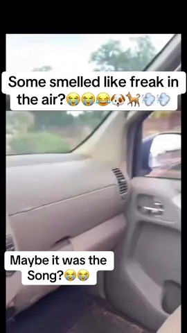 In tearss😭😭😂#Yallajustfollow #dogsoftiktok #airquality #freak #carrides 