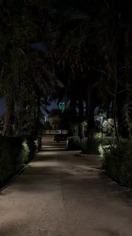 لاجيت أنا بسامحك تبكي الجراح ما ودها مشتاق .. ودي أصافحك وعيت يدي لا مدها آه يا الجراح راح اللي راح وراحتي .. من يا ترى بيردها  - #riyadh🇸🇦 #explore #اكسبلور 