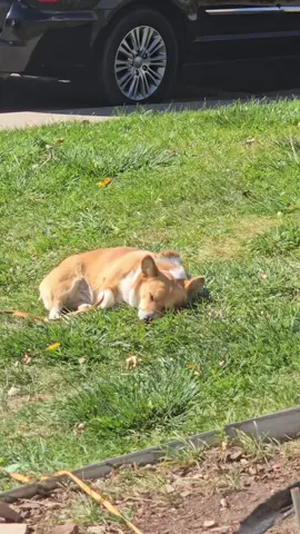 #queteextrañocadadiamas🎶 