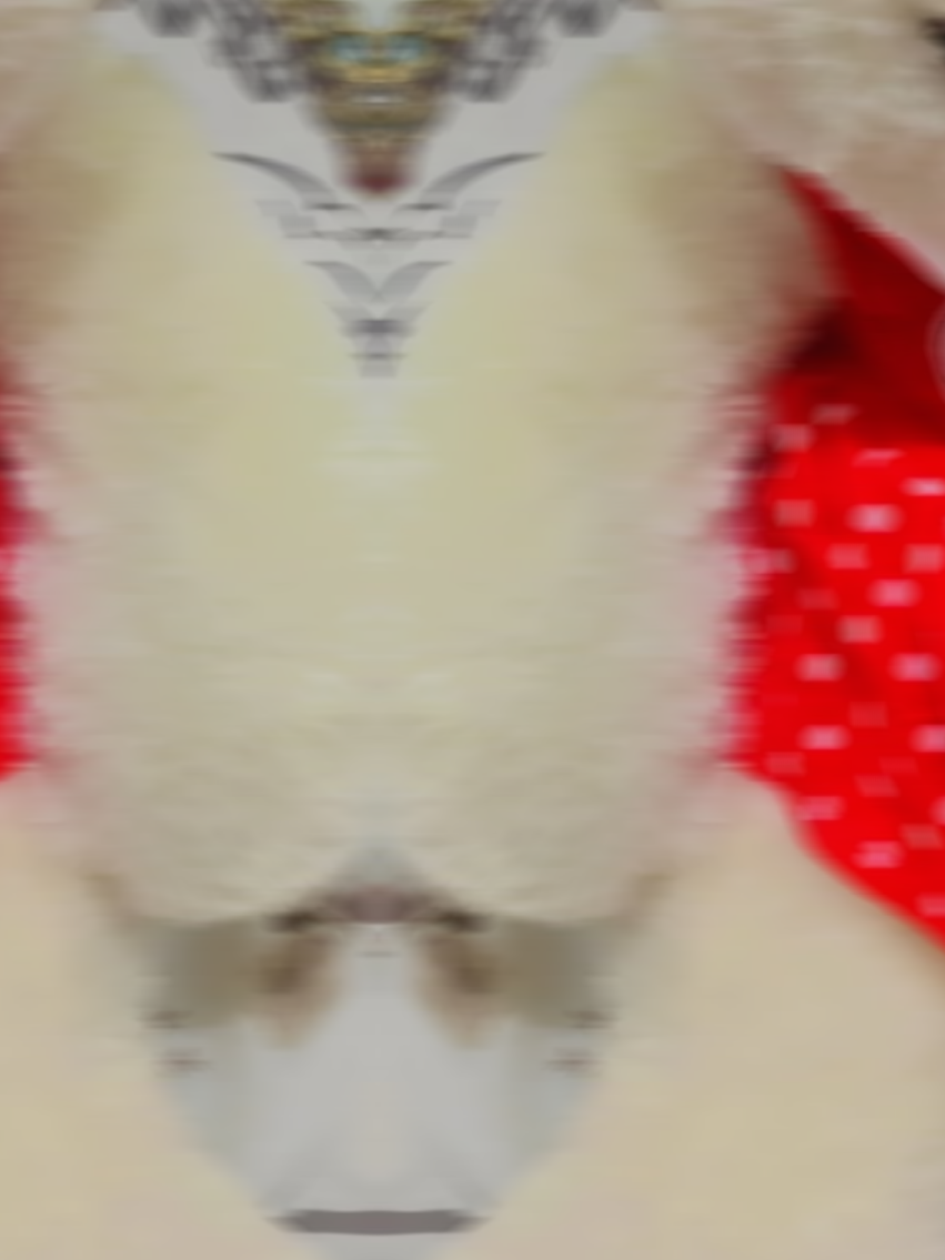 #🤭🤣🤣 #دبدوبي🧸 #مالي_خلق_احط_هاشتاقات #تصويري #تعبانه 