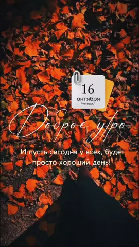 #доброеутро  #хорошегодня  #top 