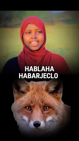 #somalilandtiktok💚🤍❤ #fyp #fypppppppppppppp #somalitikto #hargeisa 