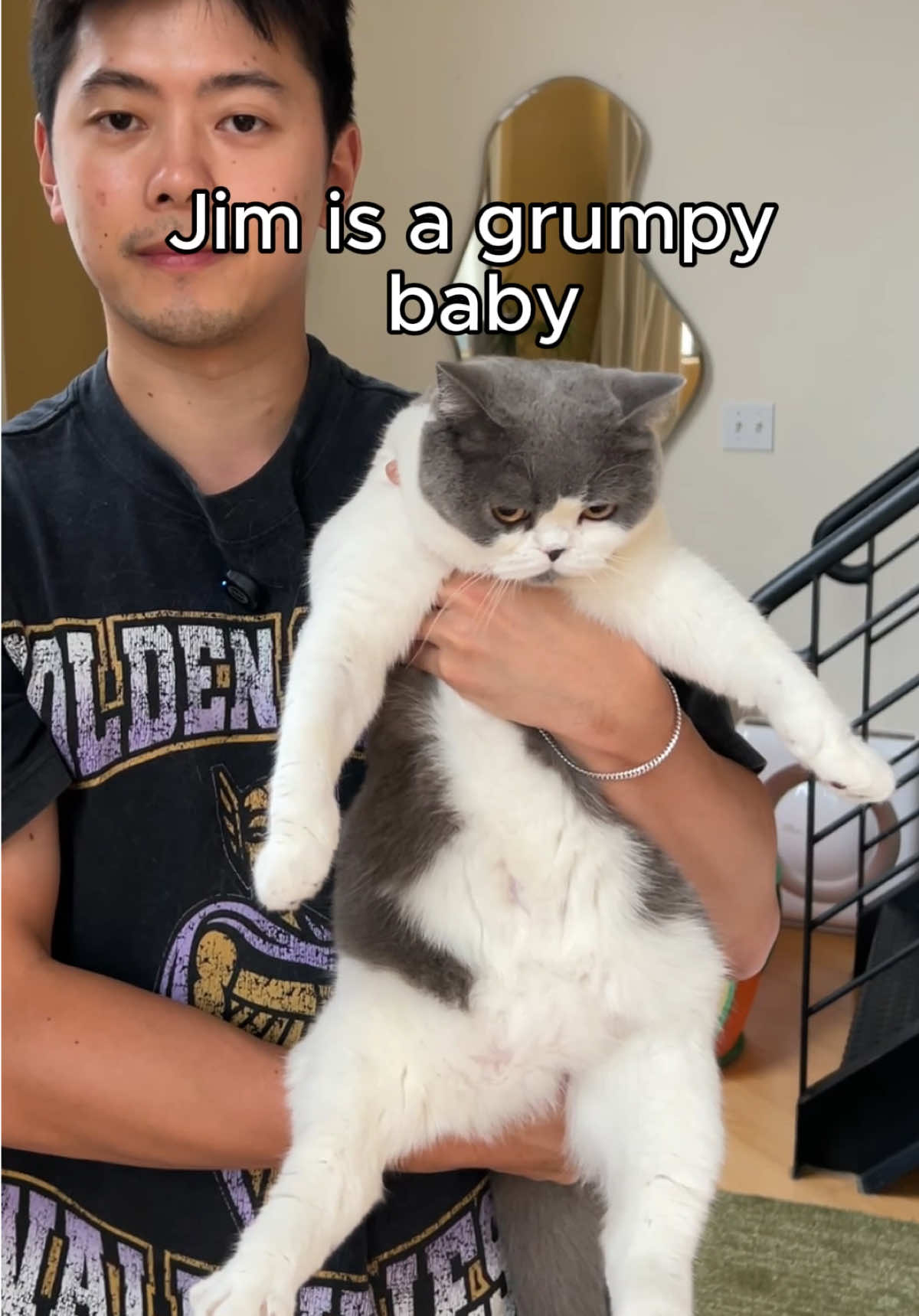 Their hunting instincts leave much to be desired  #cutecats #funnycats #catvideos