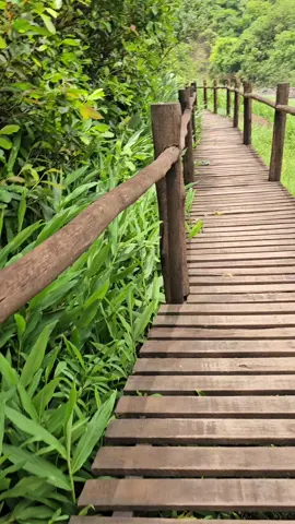 #natureza  #qualidadedevida 