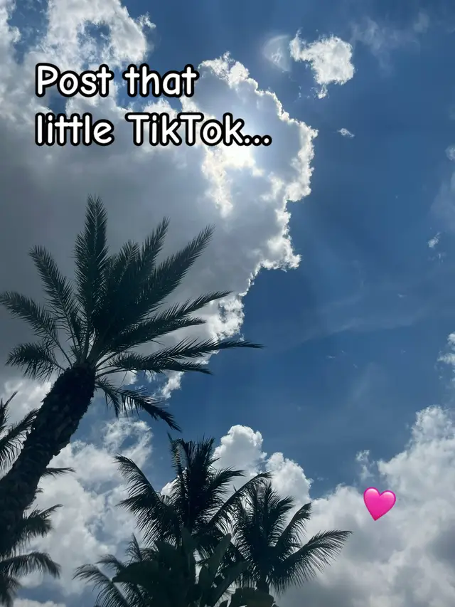 Day 24/100 💫 Post that little TikTok, you never know what could happen. Every creator starts with one video, one idea, one post that changes everything. #Mythix100K #100DaysTo100K #TrustTheProcess #CreatorJourney #TikTokGrowth
