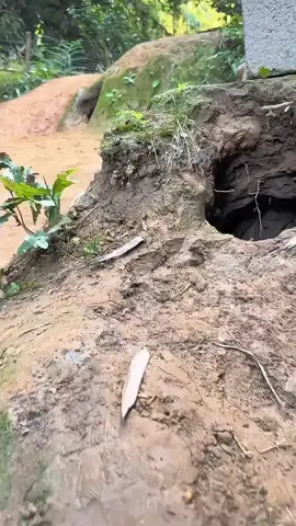 🤭🤭🤭🤭