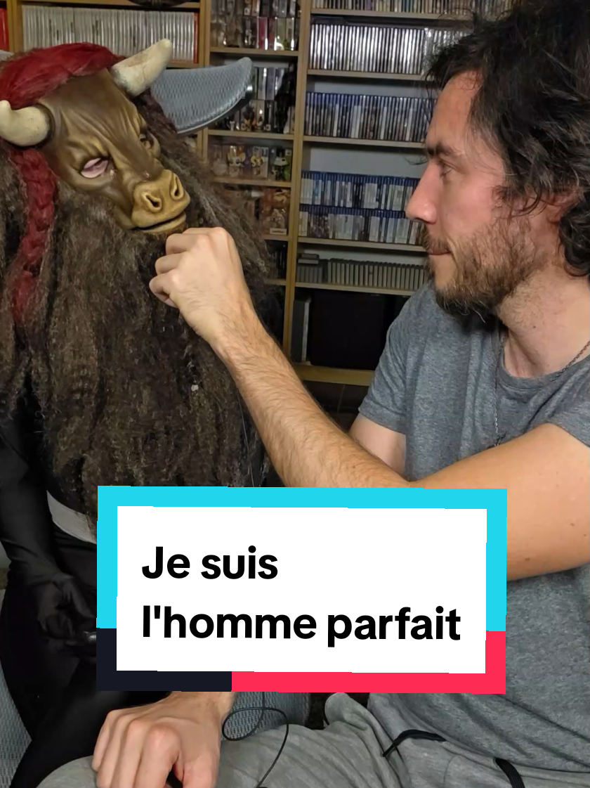 Je suis l'homme parfait