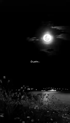 Ne te dy dot nuk ja dolem#🥀🥺💔😩💔🥀 #virale #persemashefprofilin #lyrics @DEYZOH @Muharrem Ahmeti 