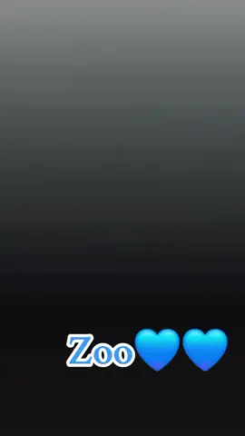 LMG 💙 💙 💙 💙 