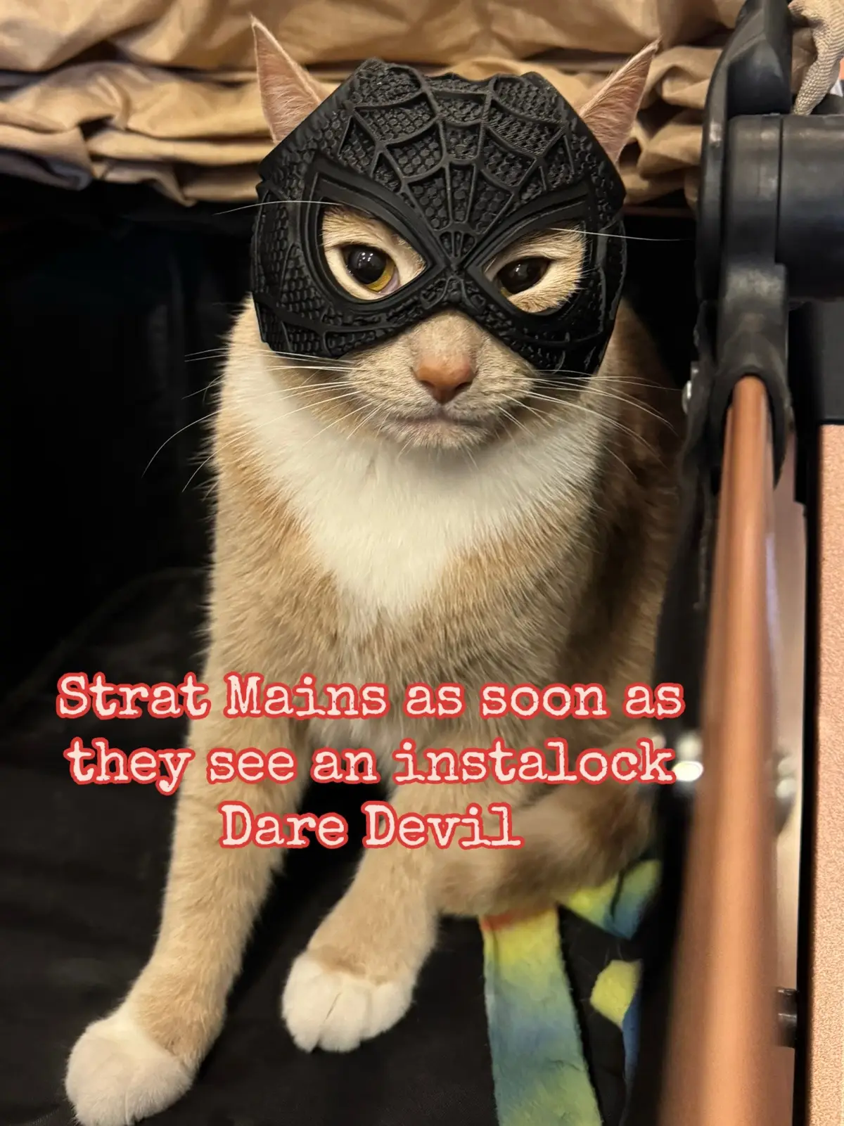 Dare Devil gap on the board every comp match. #marvelrivals #kitty #GamerGirl #foryoupage #fypシ 