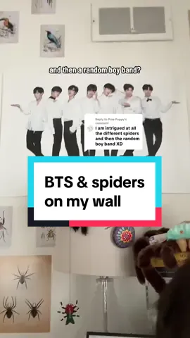 Replying to @Pine Puppy also one of tarantulas is famously hobi biased  #spider #bts 