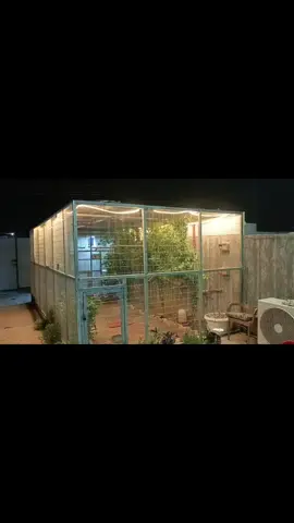 #ديالى_أم_ألبرتقال #عشاق_محمية_ألجامبو #العراق🇮🇶 #اكسبلورexplore #متابعة_فضلا_وليس_امرآ_للحساب 