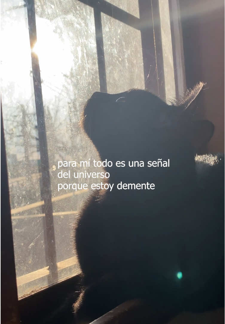 Todo es una señal 🪶#espiritualidad #wichtok 