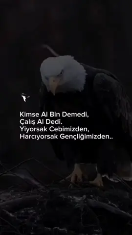 🦅🐺🦁👌 #yorgunbays 