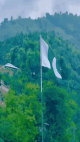 I will never let this chaman be supported. I will beat you but I will not let this happen. #####اس چمن کو کبھی صحرا ہونے نہیں دوں گا مر میں ڈونگا مگر ایسا ہونے نہیں دوں گا ###