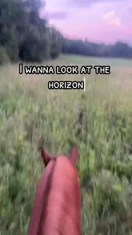 This song hits different as an adult. As a kid, it was about the “cowboy” part. As an adult, this part of the song is my anthem 🎶 #horsegirl #cowboytakemeaway #horsetok #horsetherapy #trendingsounds 