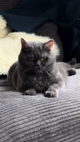 jetzt ich will ihn behalten