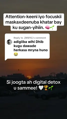 Replying to @.[M$FA]. Si joogto ah u dhex joogisteena social media waa waxa ina rogey, inaga dhex saara meeshan oo aan ku bedelano, yeelano, samaysanno hobbies kale! Taasi maskaxdaadana way nasin, focuskaagana way soo celin. 🧠🫶🏾🤍🌱  #munasawakens #somalitiktok #digitaldetox #dibudhiskanoloshaada #mindsetshift 
