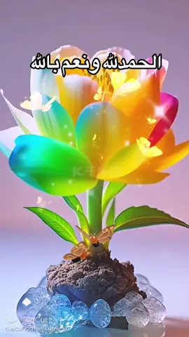 #الحمدلله_دائماً_وابداً#المغرب🇲🇦تونس🇹🇳الجزائر🇩🇿#❤️#🥀🖤#