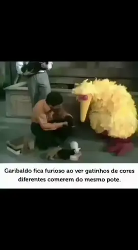 #segueai_pow #sora #videos #memes 