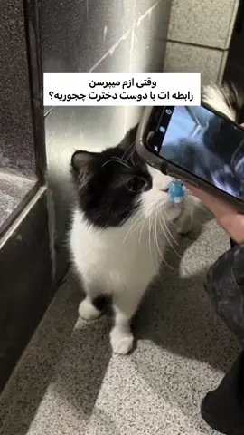 با تمام اینا این دختر زندگیمه . . . #wlw #فوریو #fpy #couple #کاپل #capcut 