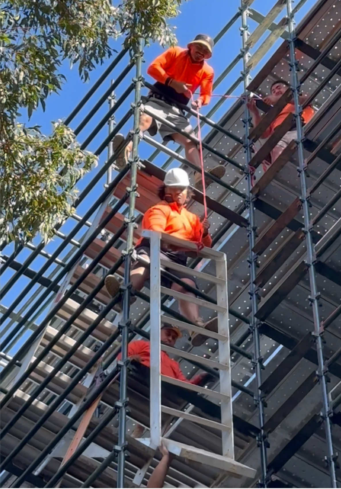 Another day, another level. #scafflife #scaffolding #tradiesoftiktok #fyp #construction 