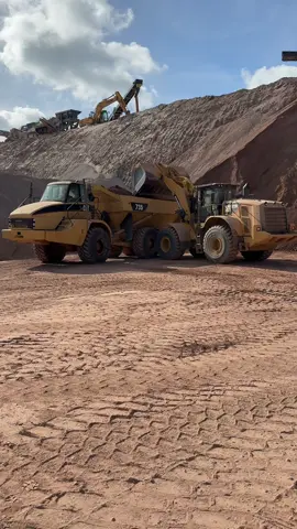 Cantera 🚜🚜🪨🪨 @Jesús Basoa @catdaily 