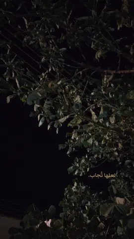 #explor #محمد_باقر_الخاقاني 