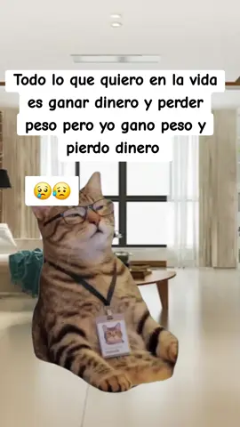#Meme #MemeCut #CapCut 