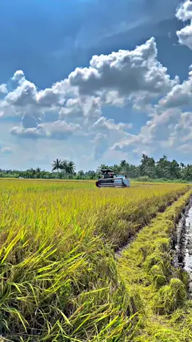 hana ubat emang rembo nyau #fyp #viral #yanmar #YH #850W 