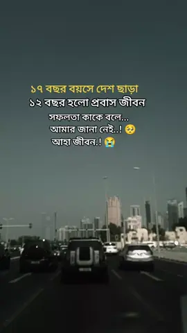 ১৭ বছর বয়সে দেশ ছাড়া #প্রবাসী #প্রবাসীজীবন #দুবাই_প্রবাসী #dubai_abudhabi_dxb_uae #foryou 