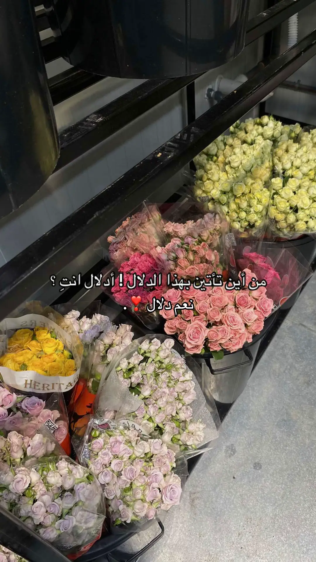 #fyp #اكسبلورexplore #foryoupag #foryou 