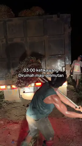 Nol Restan #sawitkalimantan  #bestagrointernasional #fy 