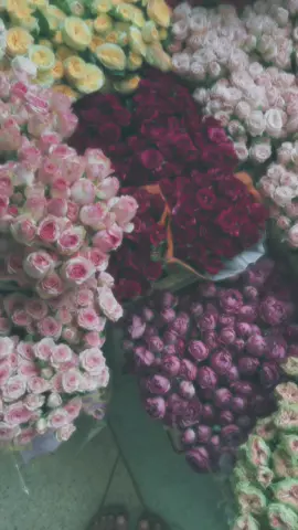 #fffffffffffyyyyyyyyyyypppppppppp #foryour #لايك_متابعه_اكسبلور #اعادة_النشر🔃 #🌷🌷🌷🌷🌷🌷🌷 