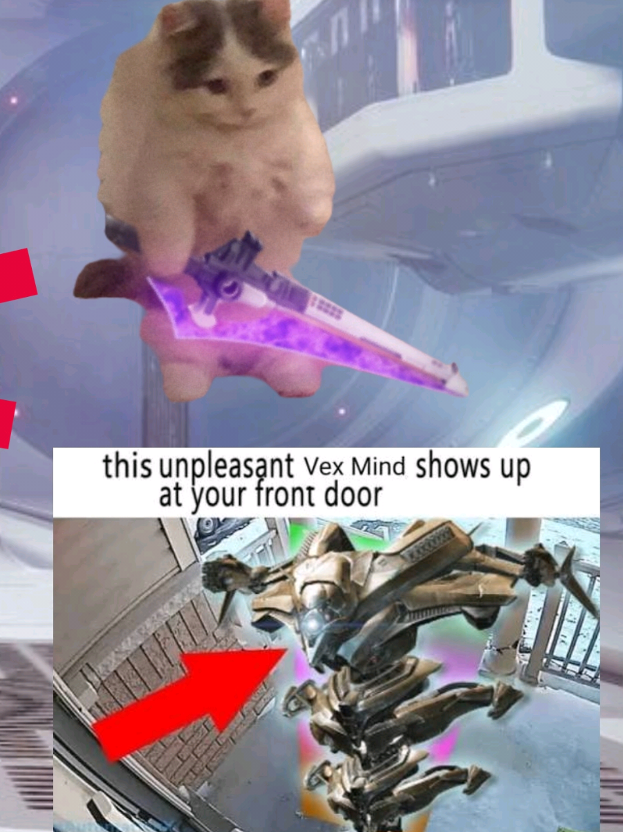 I dont know, i actually dont know. #d2 #destiny2clips #destiny2 #fyp #destiny2memes 