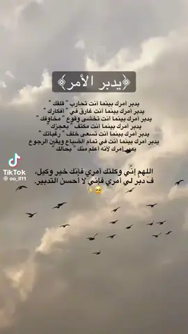 #عرفه_الحج_عرفات_ #الشعب_الصيني_ماله_حل😂😂 #قطر_السعوديه #اكسبلورexplore 