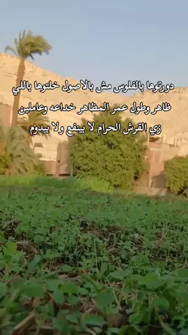 #سوهاج_بلدي_وافتخر_بيها #شعب_الصيني_ماله_حل😂😂 
