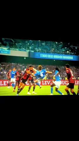 Where have you been all my life #napoli #mctominay #scudetto #perteee #fyp 