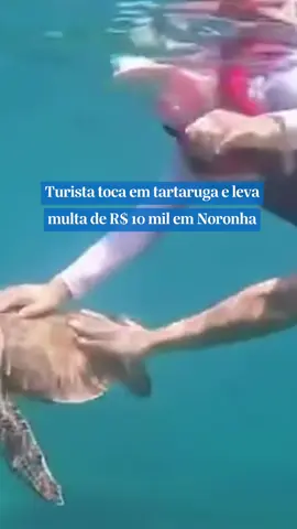 🐢 TOCAR EM TARTARUGA DÁ MULTA? Uma turista de Florianópolis (SC) foi multada em R$ 10 mil após publicar um vídeo em que aparece tocando em uma tartaruga-marinha durante um banho de mar em Fernando de Noronha. Segundo o Instituto Chico Mendes de Conservação da Biodiversidade (ICMBio), a conduta é proibida pelo Plano de Manejo da Área de Proteção Ambiental do arquipélago. O órgão explica que a interação com animais silvestres pode causar estresse, ferimentos e alterar o comportamento natural da fauna marinha. A multa foi aplicada após o vídeo viralizar nas redes sociais, reforçando a importância de respeitar as regras de preservação ambiental nas ilhas. 🔗 Para mais informações, siga @opovoonline nas redes sociais. 📹: ICMBio Noronha #opovo #animais #tartaruga #fernandodenoronha