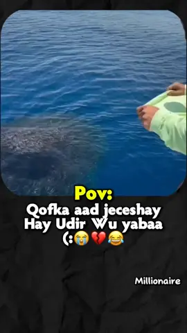 love Saaar😭❤️#fypage #capcut #fypageシ #fppppppppppppppppppp #fyyyyyyyyyyyyyyyyy 