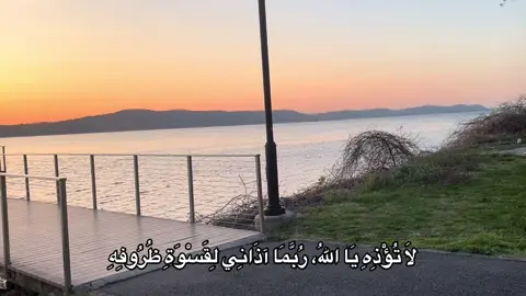 #اكسبلور 