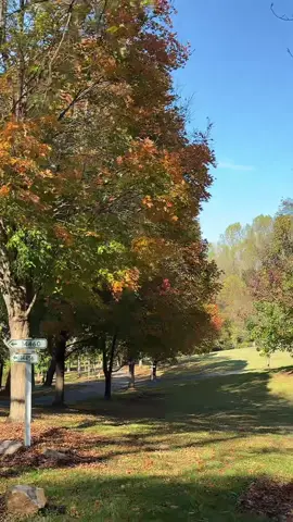 I love fall 🍂🍁🍂🍁