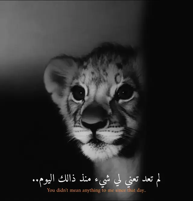 #اشتراك_لايك_الاكسبلوررر #صانع_الفيديوهات_على_شاشة_سوداء🖤💥 #tiktokindia #مصمم_فيديوهات🎬🎵 #مصمم_فيديوهات🎬🎵 