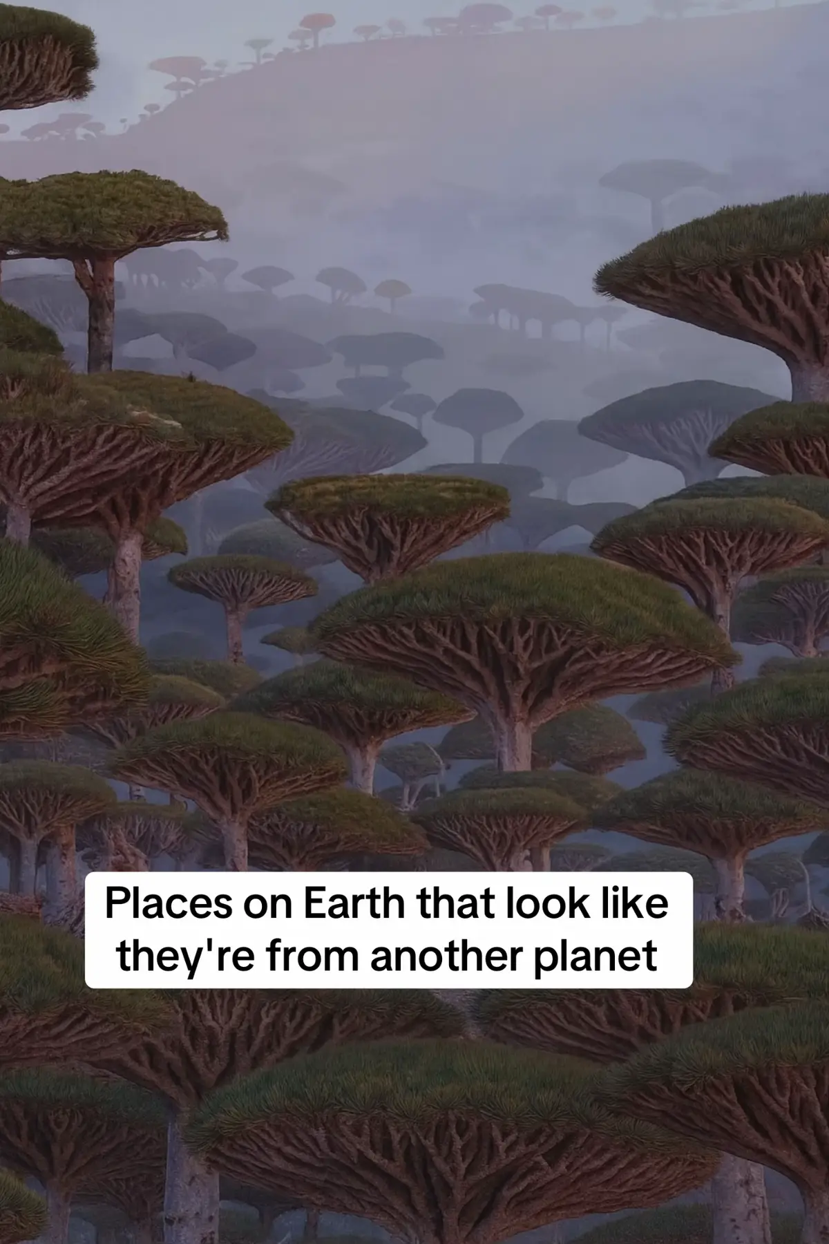 #creatorsearchinsights #MindBlowingNature #UnbelievableWorld #HiddenWonders #LooksNotReal