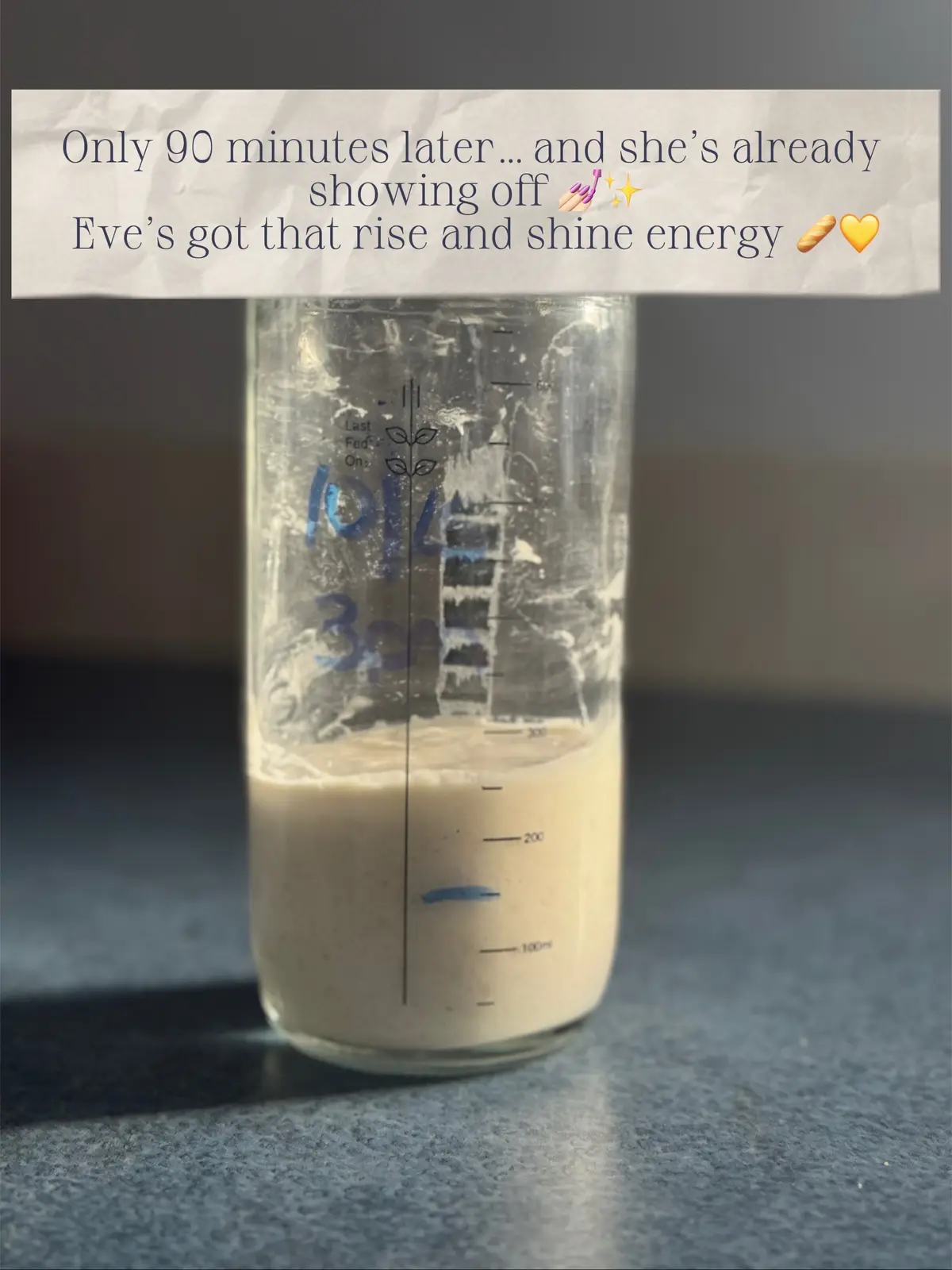 Not to brag… but my girl’s thriving 😌🥖 She doubled in 90 minutes — meanwhile, I’m on my third cup of coffee just trying to keep up 😂☕️ #MomLife #BreadTok #SourdoughStarter #HomeBakerHumor #FYP 