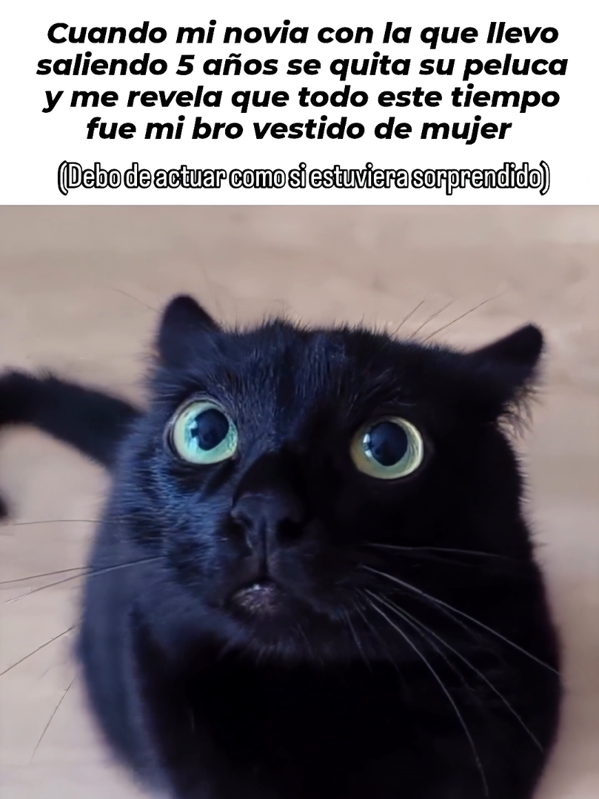 canción de fondo: 