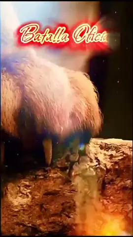 ESTÁN TODOS INVITADOS CON TAP TAP Y ROSITAS TODO CUENTA @🩶🌚𝕵𝖆𝖓𝖊𝖙𝖙.𝕲💜🧡🌻🐳 @Cesar@leon🫡🧜‍♀️ @🫡♨️💎🧿💜SAM🧡🐺🐳🇵🇷🌞🩶👑 @🌚🌳𝓐rely🩶🧜‍♀️🌶️ ✡️🖤🐥 @𝒜𝓇𝒹𝒾𝓁𝓁𝒾𝓉𝒶 𝟫𝟫𝟧🐿️ @🖤LaChulada🐥🔥💖 🌙🦝🐺🛸🌵🏧 @🖤__Pinshe__Pollo__69 __🐥 @Chile Patuano @🔥LUNA🪷 @QueOndaPerdidaa🌷💕 @🐳Chabelis💜🧡☀️👑🩶 @🏴‍☠️KOKETA🕶 @♨️Bryanmayen203 @♥️tas segura que no me quieres 