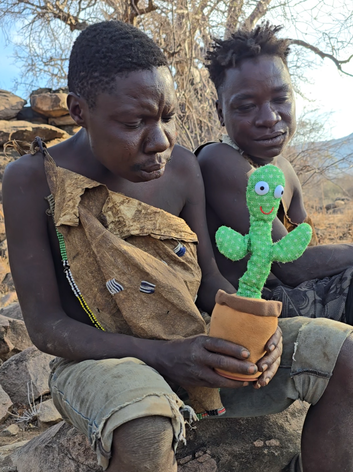 chaabaa teaching cactus toy English #reels #trending #chaabaa #dudukwe #Hadzabe 