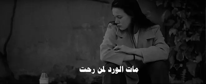 مات الورد لمن رحت #fyp #explore #اكسبلور #عراقي #viral 