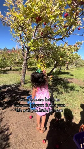 Its a weekday and we are just here picking up apples. We did some learning about apples 🍎  #homeschool #relatable #fyp #MomsofTikTok #homeschooling 